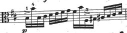 Fuchs Twelve Caprices #12